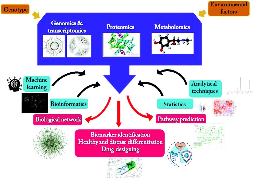 Fierce Pharma Feature: Small molecule biomarkers in precision medicine