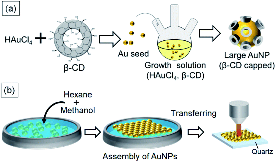 Advances in Cyclodextrin-Capped Gold Nanoparticles