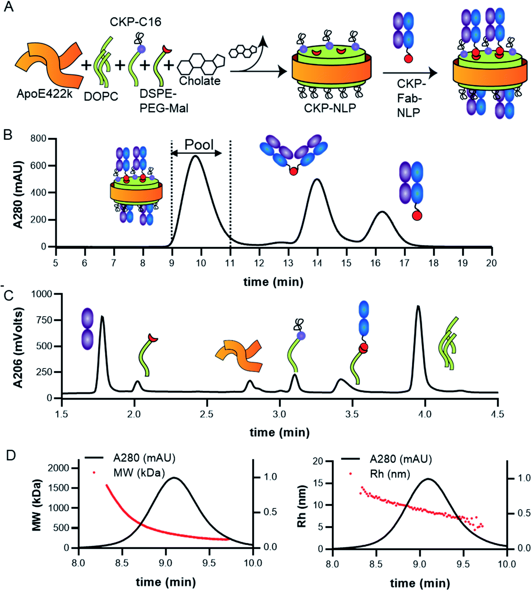 Nanolipoprotein Particles For Co Delivery Of Cystine Knot Peptides And Fab Based Therapeutics Nanoscale Advances Rsc Publishing Doi 10 1039 D1naj