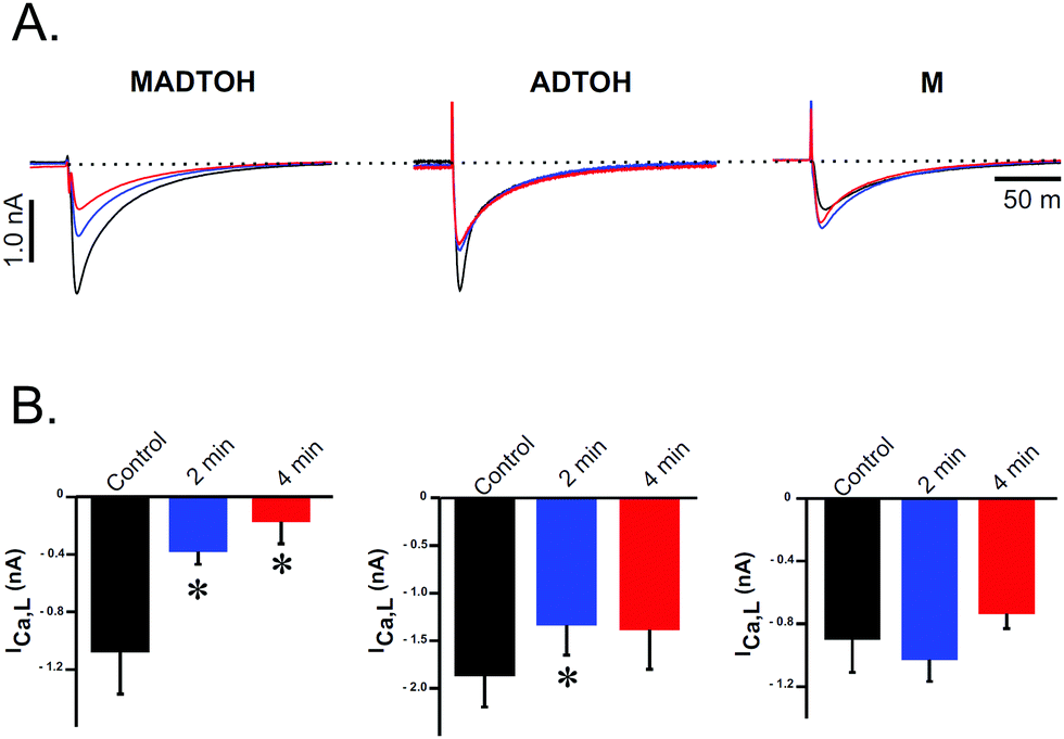 A Novel H 2 S Releasing Monastrol Hybrid Madtoh Inhibits L Type Calcium Channels New Journal Of Chemistry Rsc Publishing Doi 10 1039 D0njf