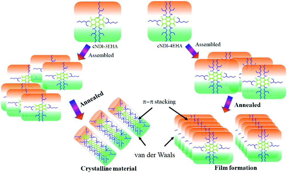 Influences of the number of 2-ethylhexylamine chain substituents