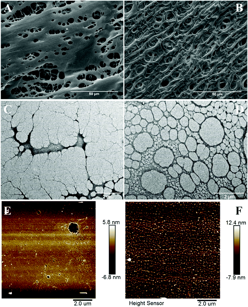 Effects of a crosslinking agent on a supramolecular gel to control lost  circulation - New Journal of Chemistry (RSC Publishing)  DOI:10.1039/D0NJ05692H