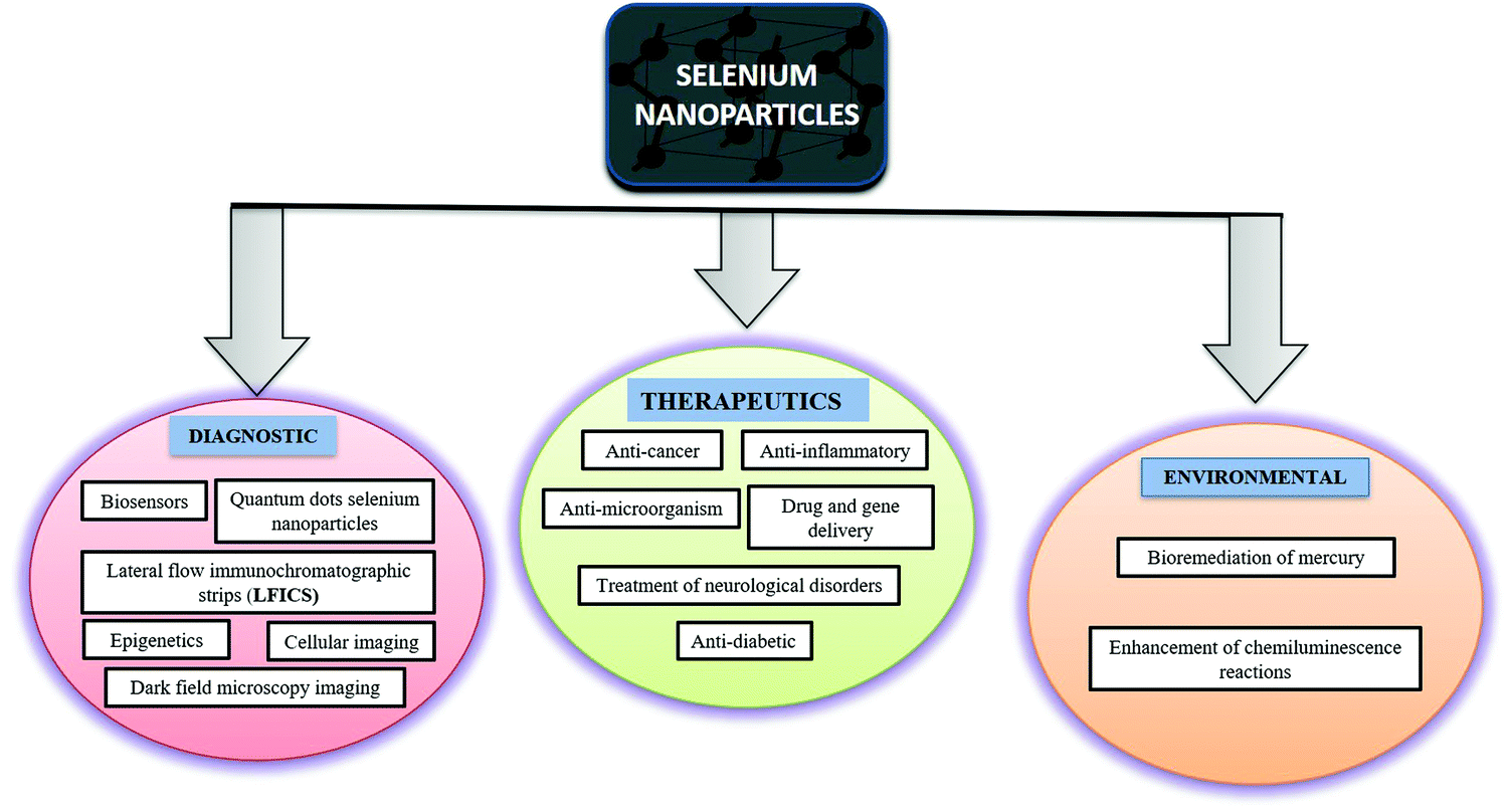 Full article: Biomedical Potential of Plant-Based Selenium Nanoparticles: A  Comprehensive Review on Therapeutic and Mechanistic Aspects