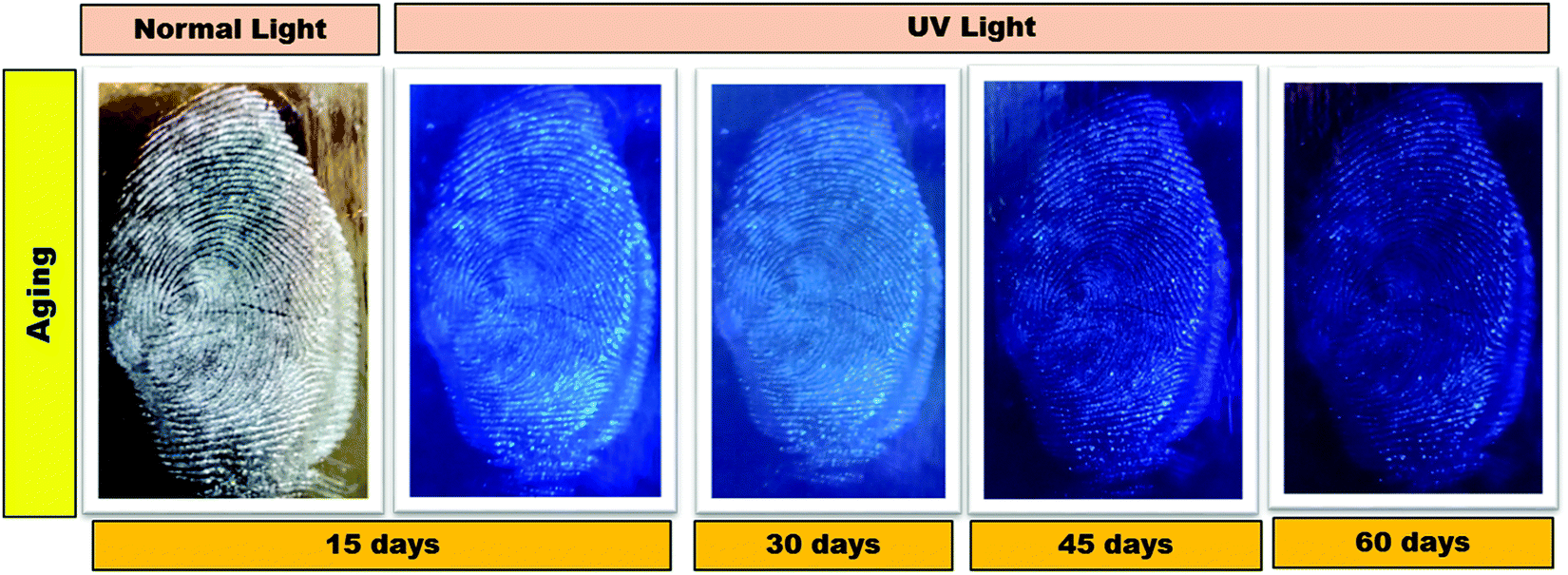 https://pubs.rsc.org/image/article/2021/NJ/d1nj03901f/d1nj03901f-f12_hi-res.gif