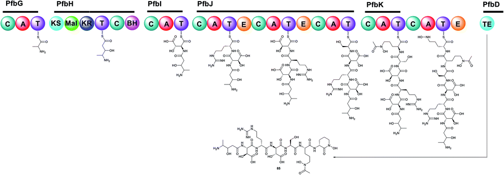 The chemistry and biology of guanidine secondary metabolites - Natural  Product Reports (RSC Publishing) DOI:10.1039/D0NP00051E
