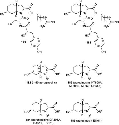 The Chemistry And Biology Of Guanidine Secondary Metabolites Natural Product Reports Rsc Publishing Doi 10 1039 D0npe