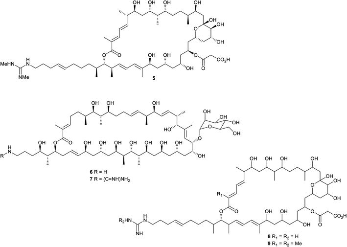 The chemistry and biology of guanidine secondary metabolites - Natural  Product Reports (RSC Publishing) DOI:10.1039/D0NP00051E
