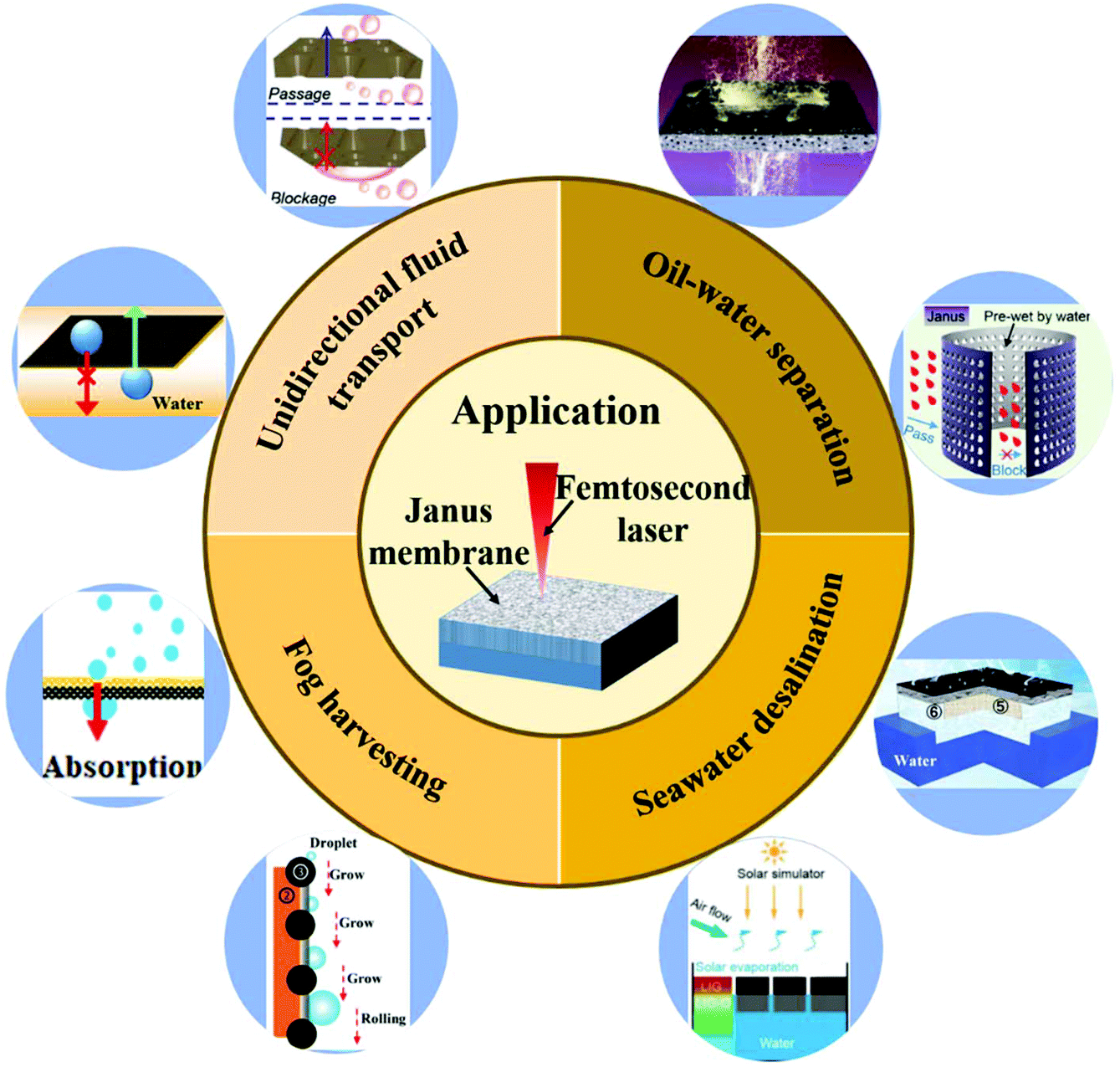 Recent advances in femtosecond laser-structured Janus membranes with  asymmetric surface wettability - Nanoscale (RSC Publishing)  DOI:10.1039/D0NR06639G