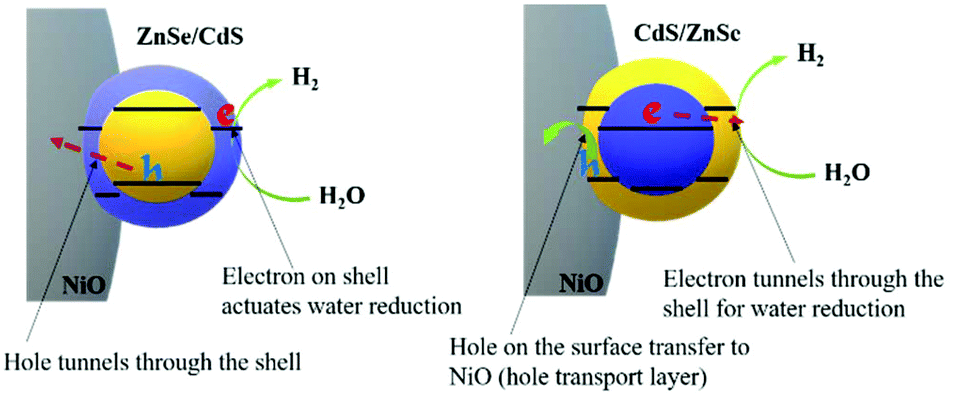 Sensibilization Of P Nio With Znse Cds And Cds Znse Quantum Dots For Photoelectrochemical Water Reduction Nanoscale Rsc Publishing Doi 10 1039 D0nrk
