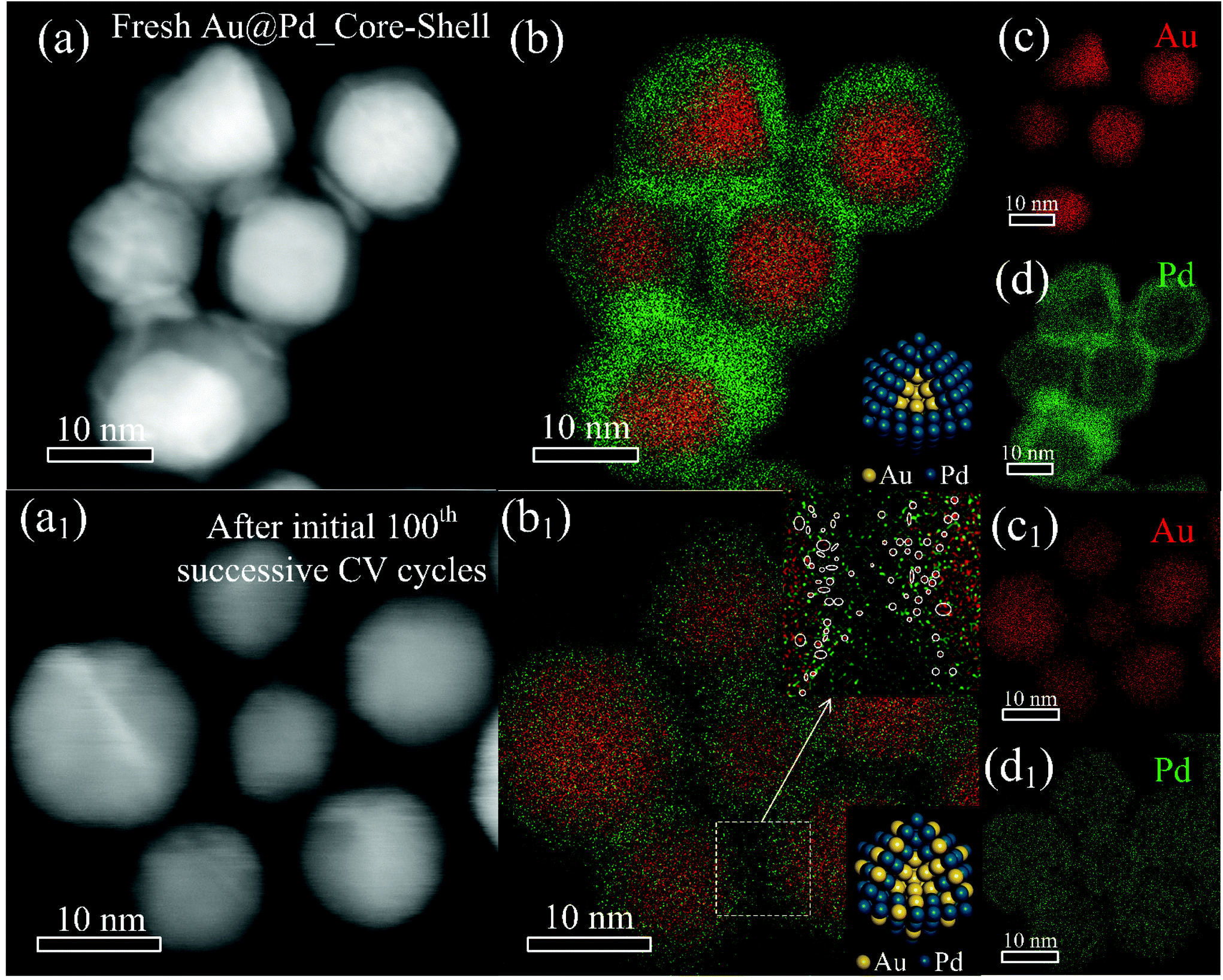 Self Driven Microstructural Evolution Of Au Pd Core Shell Nanoparticles For Greatly Enhanced Catalytic Performance During Methanol Electrooxidation Nanoscale Rsc Publishing Doi 10 1039 D0nrh