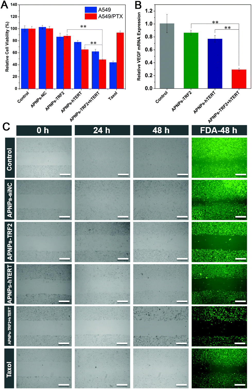 A Tumor Activatable Peptide Supramolecular Nanoplatform For The Delivery Of Dual Gene Targeted Sirnas For Drug Resistant Cancer Treatment Nanoscale Rsc Publishing Doi 10 1039 D0nre