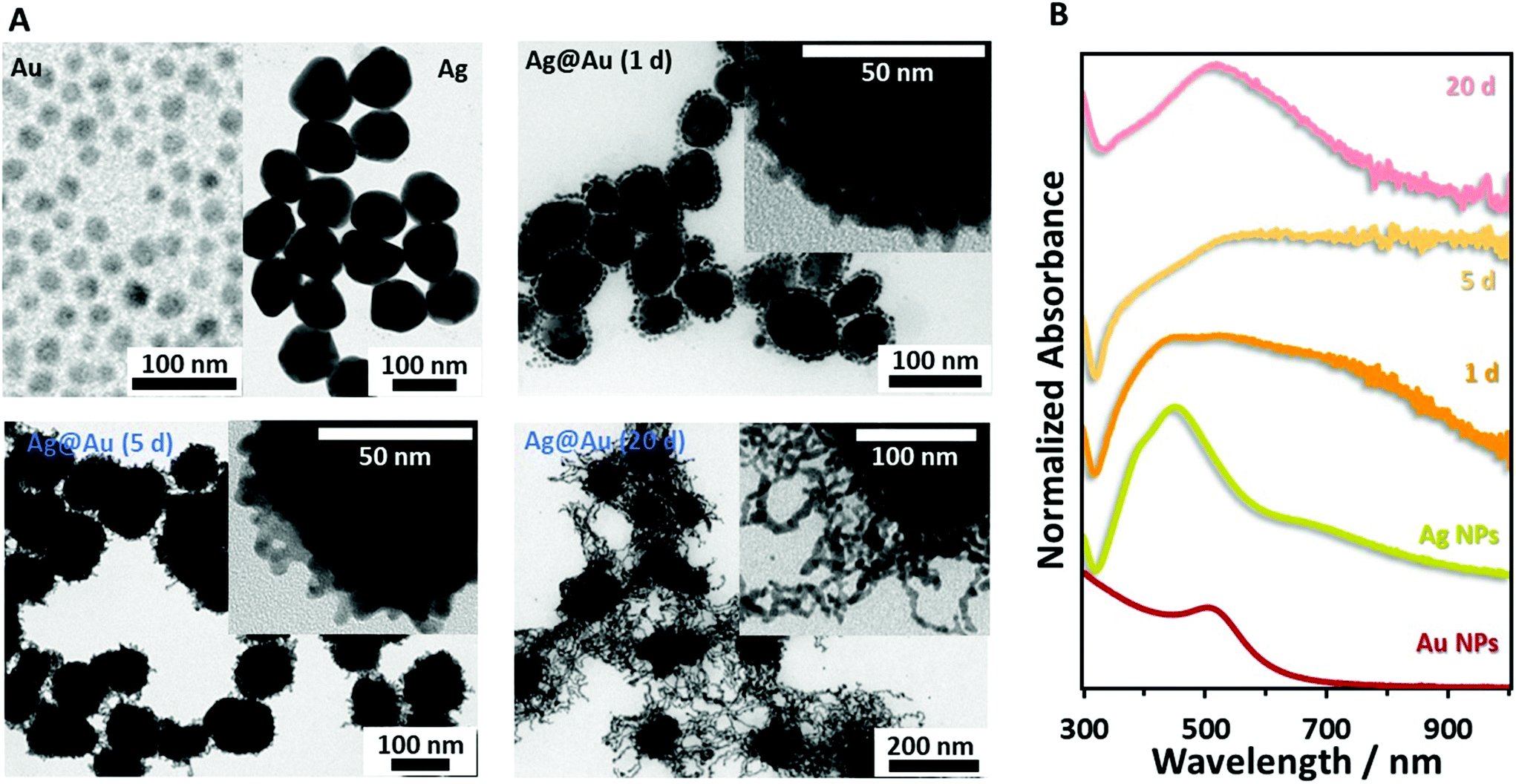 Gold-spiked coating of silver particles through cold nanowelding -  Nanoscale (RSC Publishing)