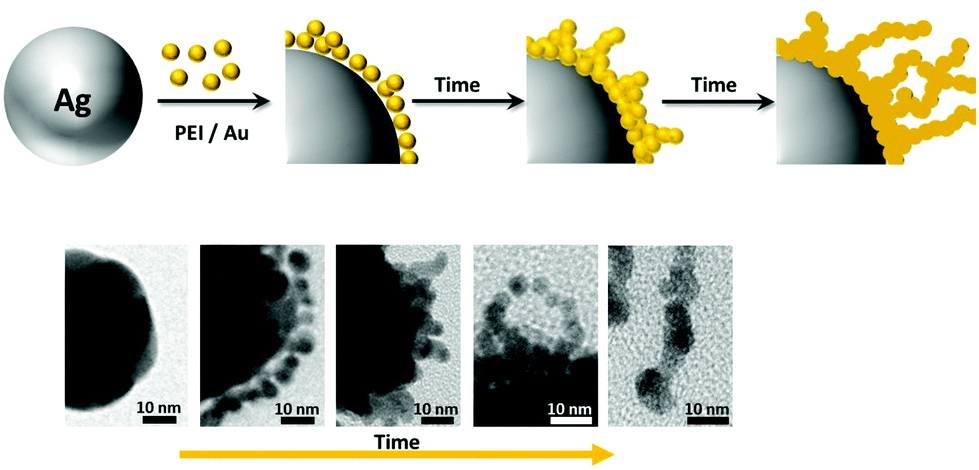 Gold-spiked coating of silver particles through cold nanowelding -  Nanoscale (RSC Publishing)