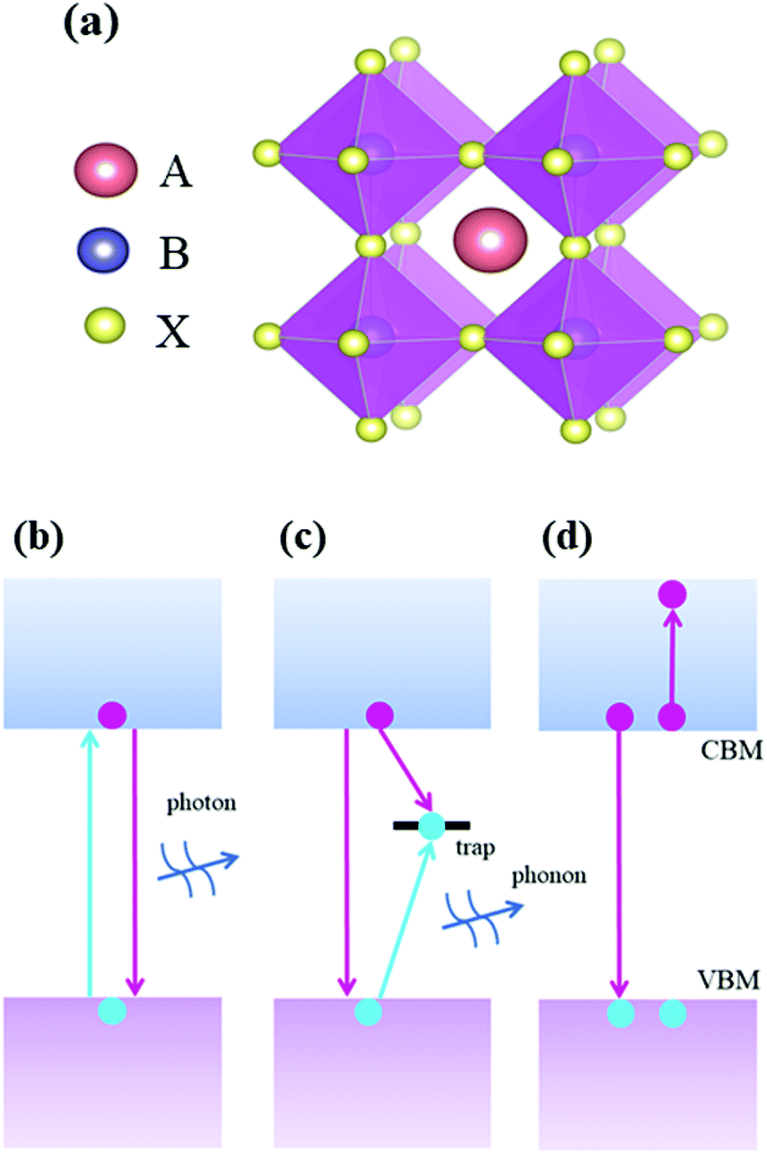 Ab initio nonadiabatic molecular dynamics of charge carriers in 