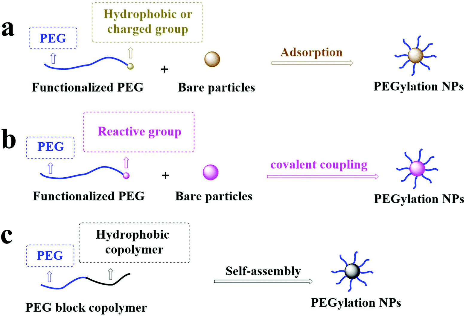 Effects of polyethylene glycol on the surface of nanoparticles for targeted  drug delivery - Nanoscale (RSC Publishing) DOI:10.1039/D1NR02065J