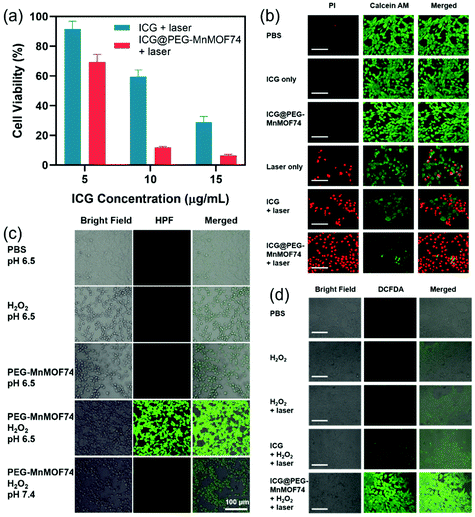image file: d1nr04104e-f3.tif