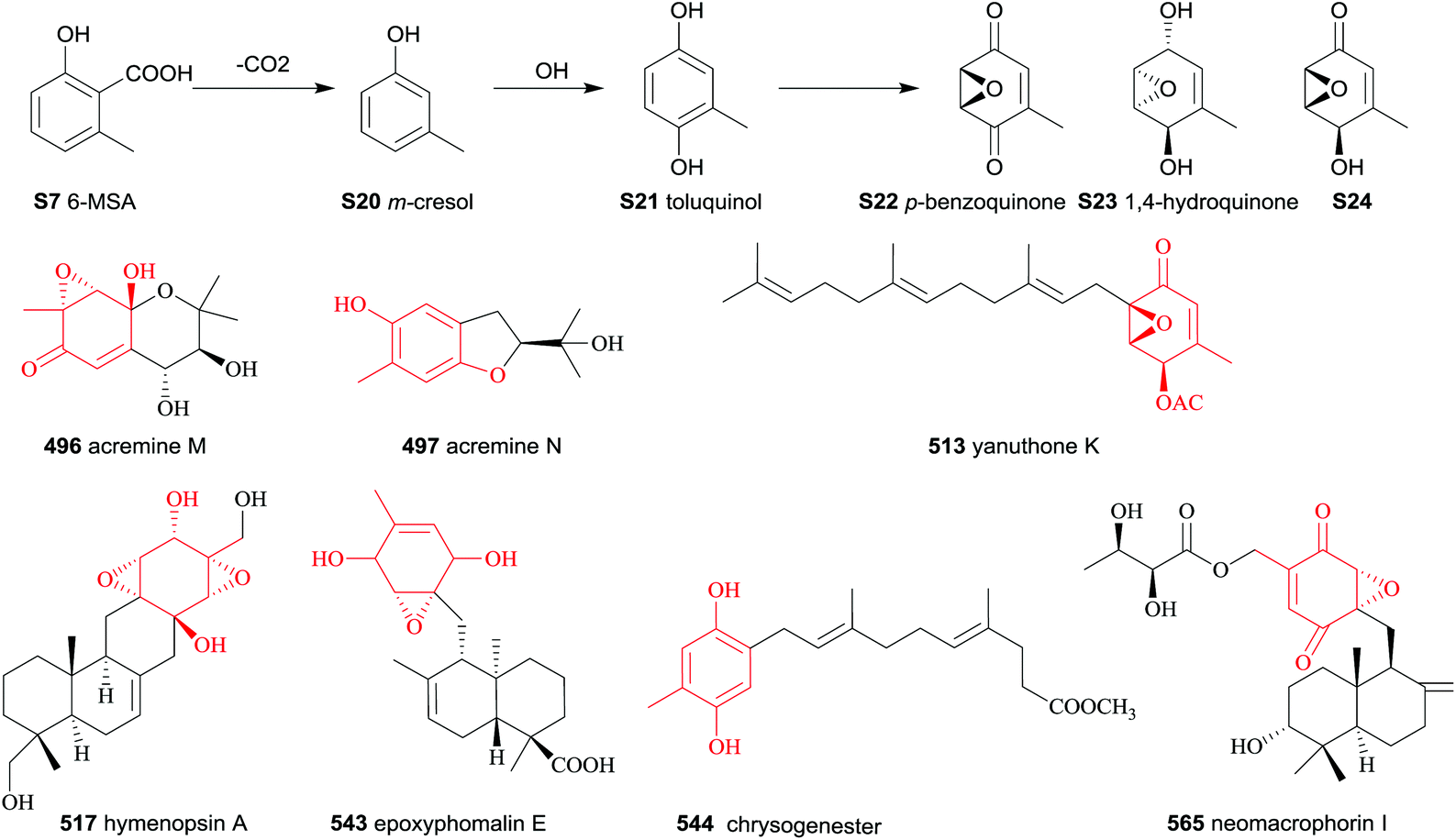 The chemistry and biology of fungal meroterpenoids (2009–2019) - Organic &  Biomolecular Chemistry (RSC Publishing) DOI:10.1039/D0OB02162H