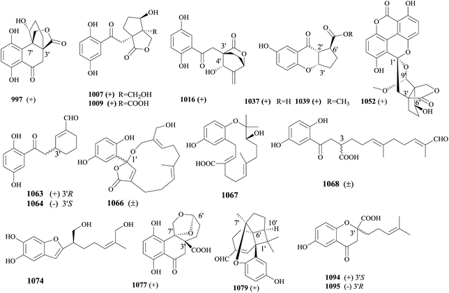 The chemistry and biology of fungal meroterpenoids (2009–2019) - Organic &  Biomolecular Chemistry (RSC Publishing) DOI:10.1039/D0OB02162H