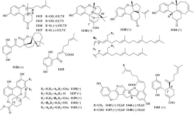 The chemistry and biology of fungal meroterpenoids (2009–2019) - Organic &  Biomolecular Chemistry (RSC Publishing) DOI:10.1039/D0OB02162H