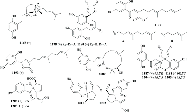 The chemistry and biology of fungal meroterpenoids (2009–2019) - Organic &  Biomolecular Chemistry (RSC Publishing) DOI:10.1039/D0OB02162H