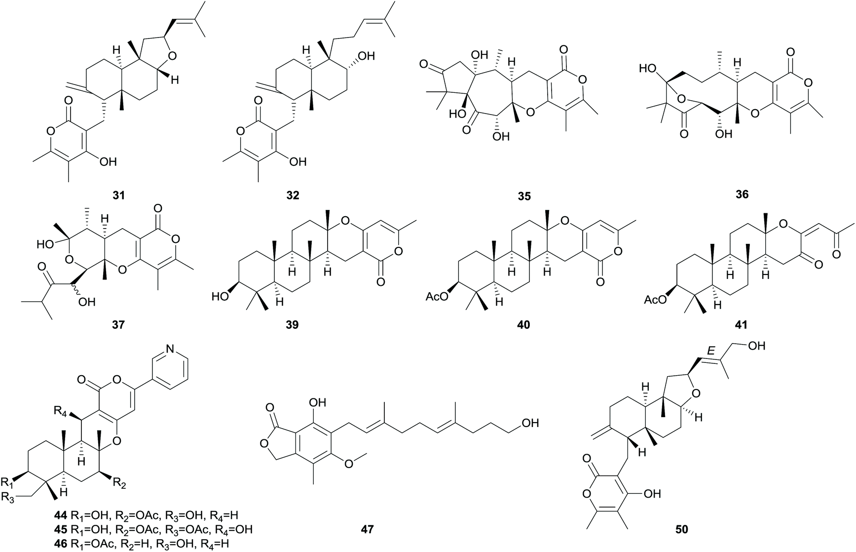 The chemistry and biology of fungal meroterpenoids (2009–2019) - Organic &  Biomolecular Chemistry (RSC Publishing) DOI:10.1039/D0OB02162H