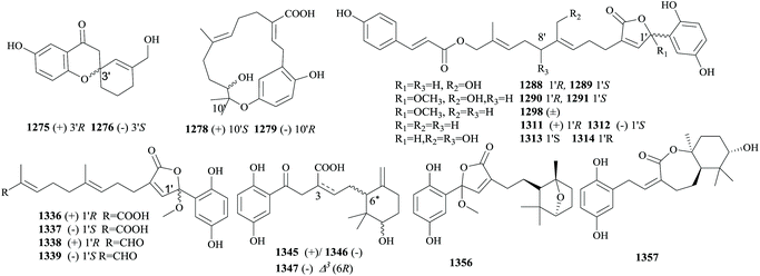 The chemistry and biology of fungal meroterpenoids (2009–2019) - Organic &  Biomolecular Chemistry (RSC Publishing) DOI:10.1039/D0OB02162H