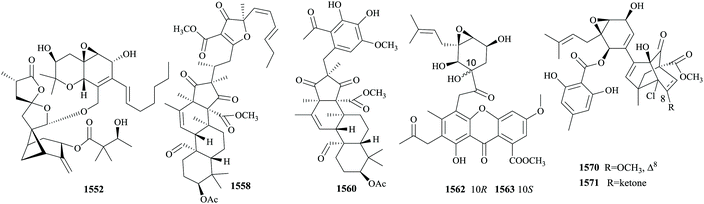 The chemistry and biology of fungal meroterpenoids (2009–2019) - Organic &  Biomolecular Chemistry (RSC Publishing) DOI:10.1039/D0OB02162H