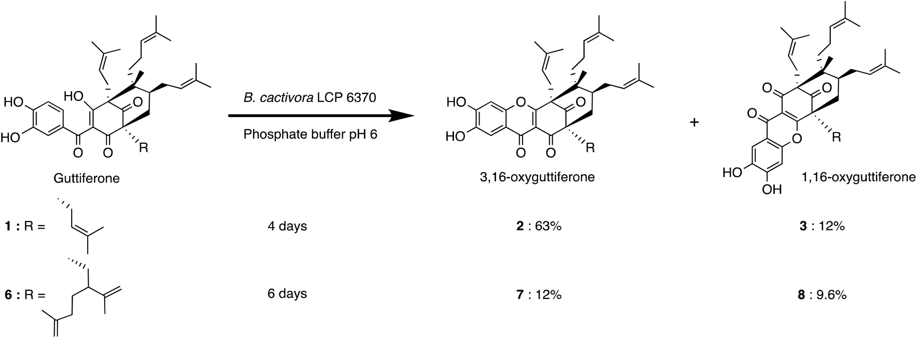 Biotransformation Of Guttiferones Symphonia Globulifera Metabolites By Bipolaris Cactivora An Endophytic Fungus Isolated From Its Leaves Organic Biomolecular Chemistry Rsc Publishing Doi 10 1039 D0ob02443k
