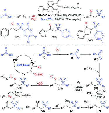 Recent Advances In The Synthesis And Applications Of B Keto Sulfones New Prospects For The Synthesis Of B Keto Thiosulfones Organic Biomolecular Chemistry Rsc Publishing Doi 10 1039 D1obf