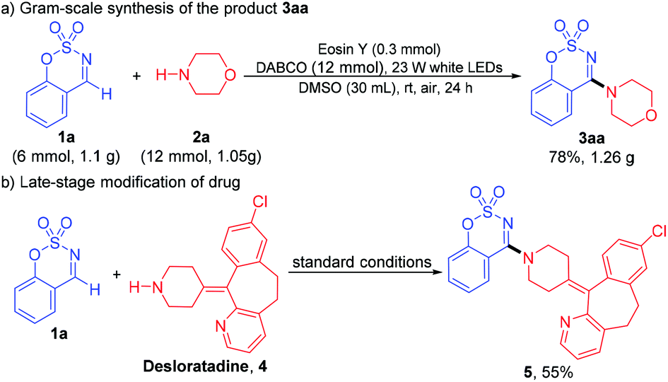 An Organophotoredox Catalyzed C Sp 2 N Cross Coupling Reaction Of Cyclic Aldimines With Cyclic Aliphatic Amines Organic Biomolecular Chemistry Rsc Publishing Doi 10 1039 D1obf