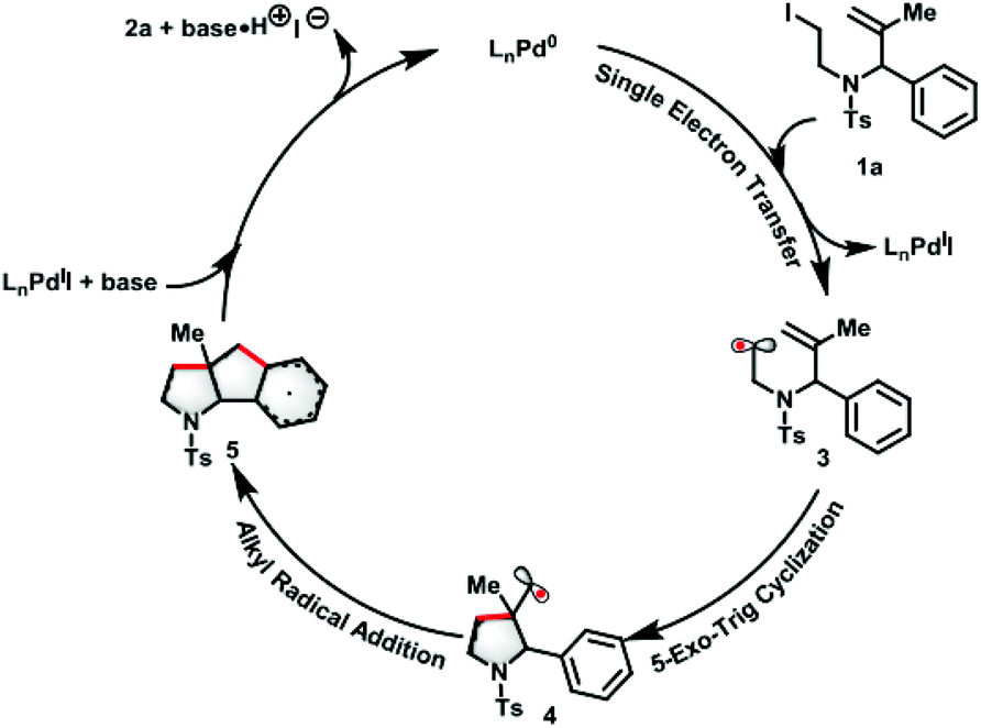 Palladium-catalyzed cascade 5- exo-trig radical cyclization