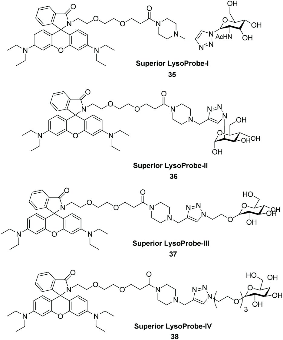 Optically superior fluorescent probes for selective imaging of 