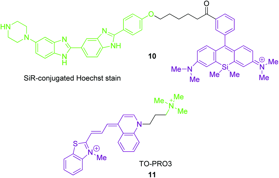 Optically superior fluorescent probes for selective imaging of