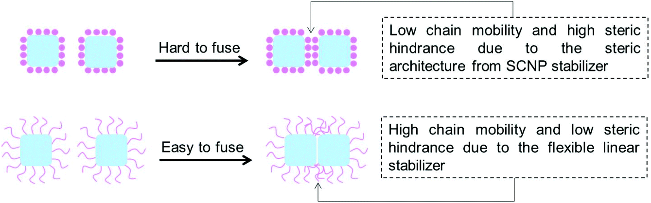 Influence Of Single Chain Nanoparticle Stabilizers On Polymerization Induced Hierarchical Self Assembly Polymer Chemistry Rsc Publishing Doi 10 1039 D1py00145k