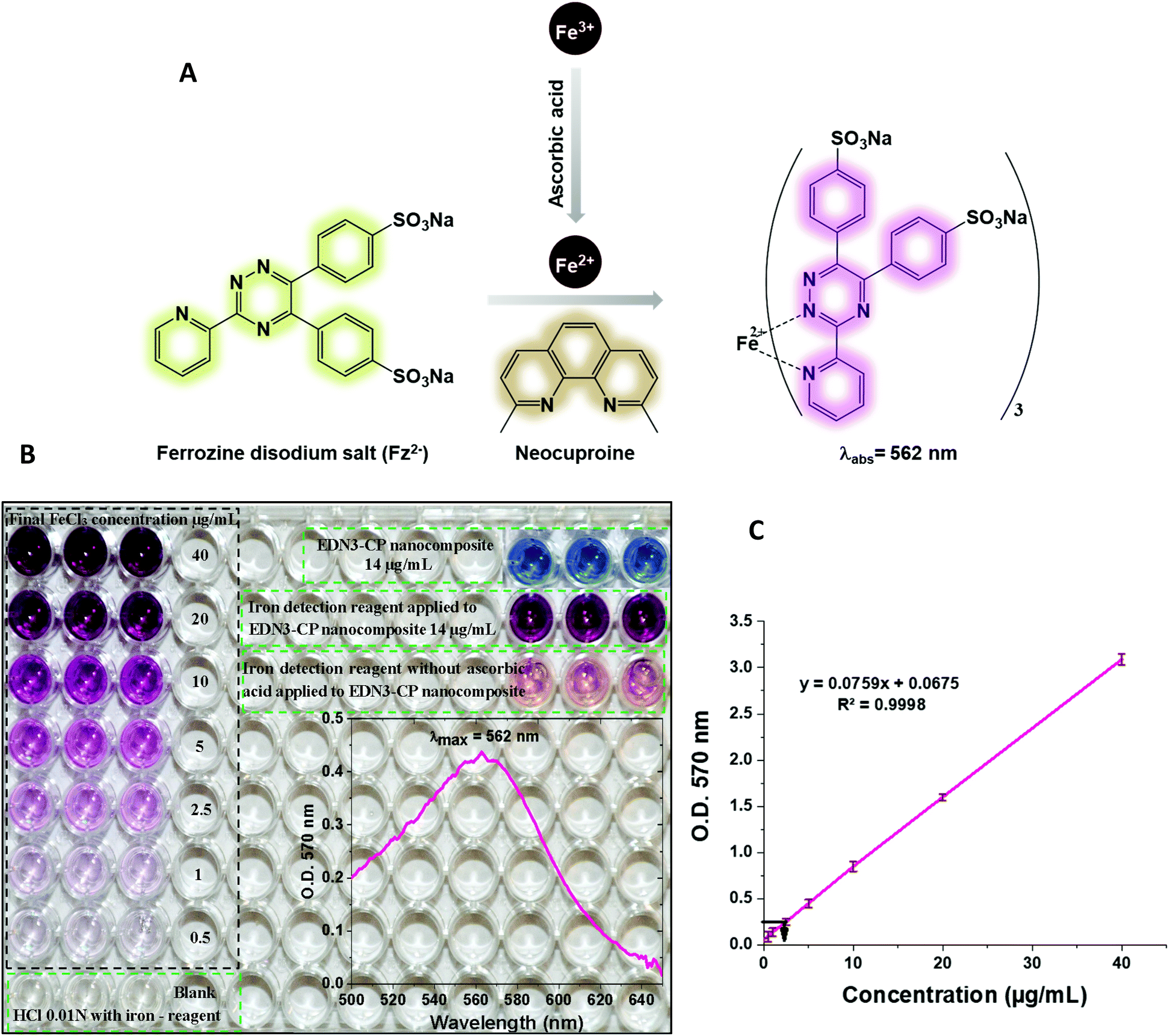 Multifunctional system for combined chemodynamic–photodynamic