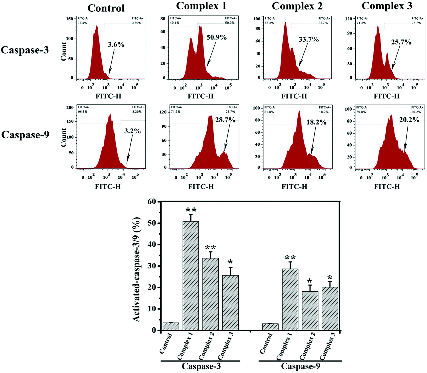 Ni( ii ), Cu( ii ) and Zn( ii ) complexes with the 1