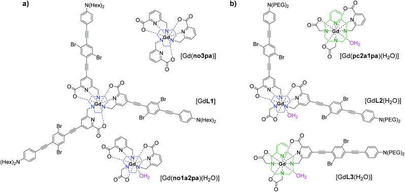 Design Of Polyazamacrocyclic Gd 3 Theranostic Agents Combining Magnetic Resonance Imaging And Two Photon Photodynamic Therapy Inorganic Chemistry Frontiers Rsc Publishing Doi 10 1039 D0qi01519a