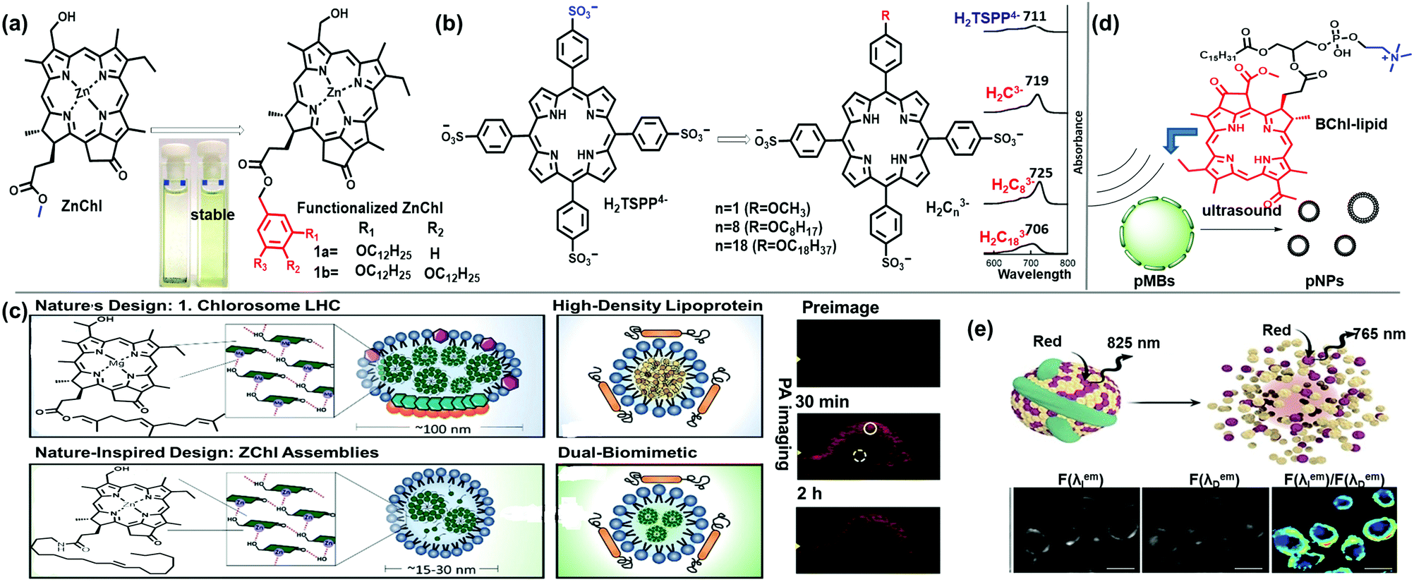 Nano-Assemblies from J-Aggregated Dyes: A Stimuli-Responsive Tool  Applicable To Living Systems