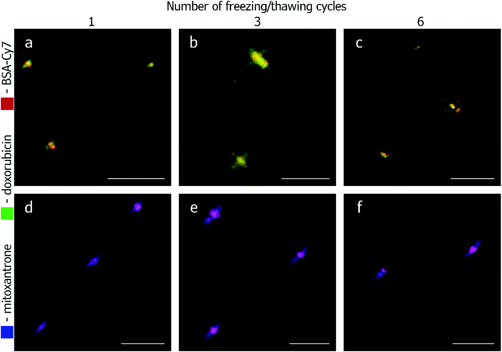 Highly Magnetic Mineral Protein Tannin Vehicles With Anti Breast Cancer Activity Materials Chemistry Frontiers Rsc Publishing Doi 10 1039 D0qmc