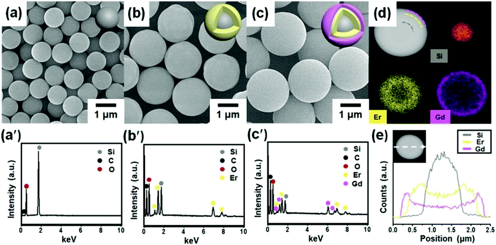 Rational manufacture of yolk–shell and core–shell metal oxide double layers  from silica-templated coordination polymer double layers - Materials  Chemistry Frontiers (RSC Publishing) DOI:10.1039/D1QM00034A