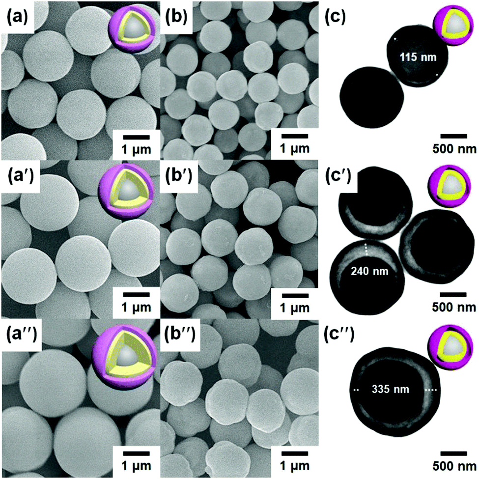 Rational manufacture of yolk–shell and core–shell metal oxide double layers  from silica-templated coordination polymer double layers - Materials  Chemistry Frontiers (RSC Publishing) DOI:10.1039/D1QM00034A