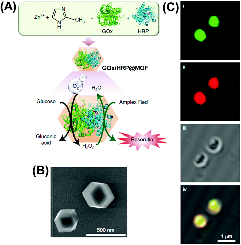 Metal–organic framework based catalytic nanoreactors: synthetic challenges  and applications - Materials Chemistry Frontiers (RSC Publishing)  DOI:10.1039/D1QM00242B