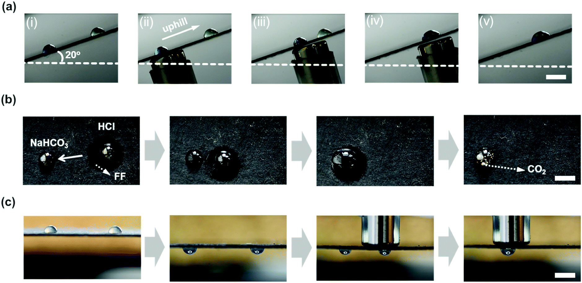 Bio Inspired Semi Infused Adaptive Surface With Reconfigurable Topography For On Demand Droplet Manipulation Materials Chemistry Frontiers Rsc Publishing Doi 10 1039 D1qmb