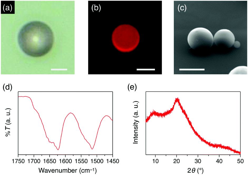 Silk Fibroin Microspheres As Optical Resonators For Wide Range Humidity Sensing And Biodegradable Lasers Materials Chemistry Frontiers Rsc Publishing Doi 10 1039 D1qmd