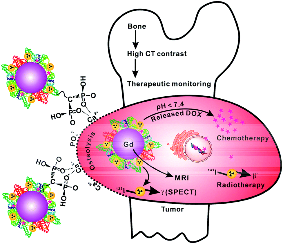 Recent advances in bone-targeting nanoparticles for biomedical 