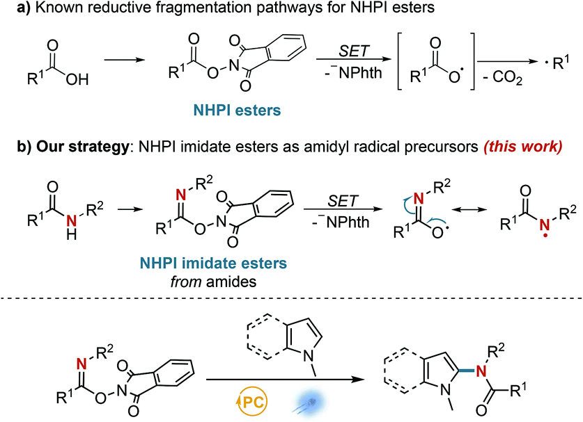 N Hydroxyphthalimide Imidate Esters As Amidyl Radical Precursors In The Visible Light Photocatalyzed C H Amidation Of Heteroarenes Organic Chemistry Frontiers Rsc Publishing Doi 10 1039 D0qoa