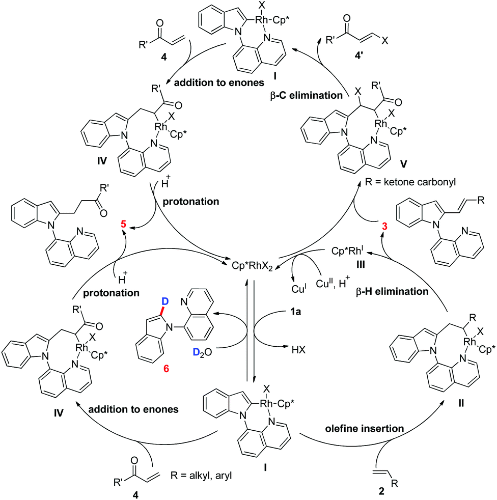 Access To The C2 C H Olefination Alkylation And Deuteration Of Indoles By Rhodium Iii Catalysis An Opportunity For Diverse Syntheses Organic Chemistry Frontiers Rsc Publishing Doi 10 1039 D1qog