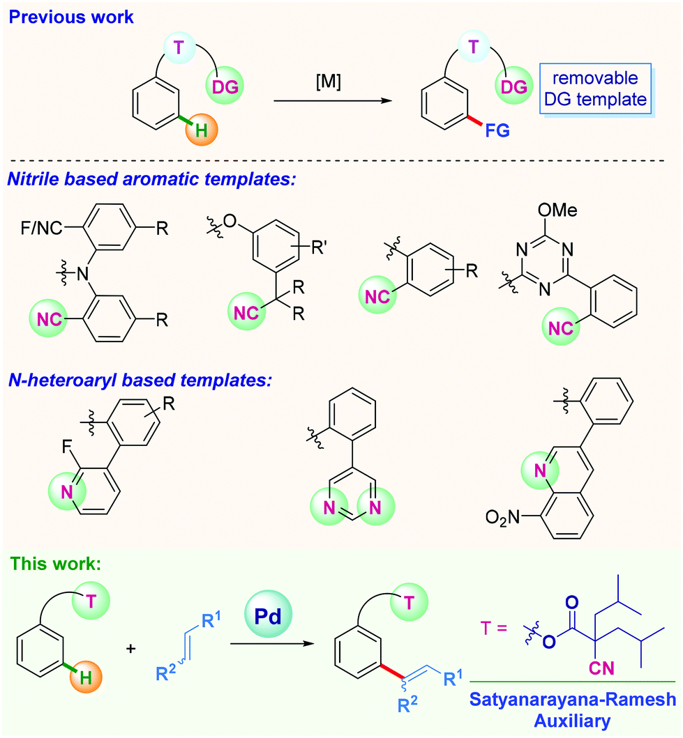 A Simple Removable Aliphatic Nitrile Template 2 Cyano 2 2 Di Isobutyl Acetic Acid For Remote Meta Selective C H Functionalization Organic Chemistry Frontiers Rsc Publishing Doi 10 1039 D1qoj