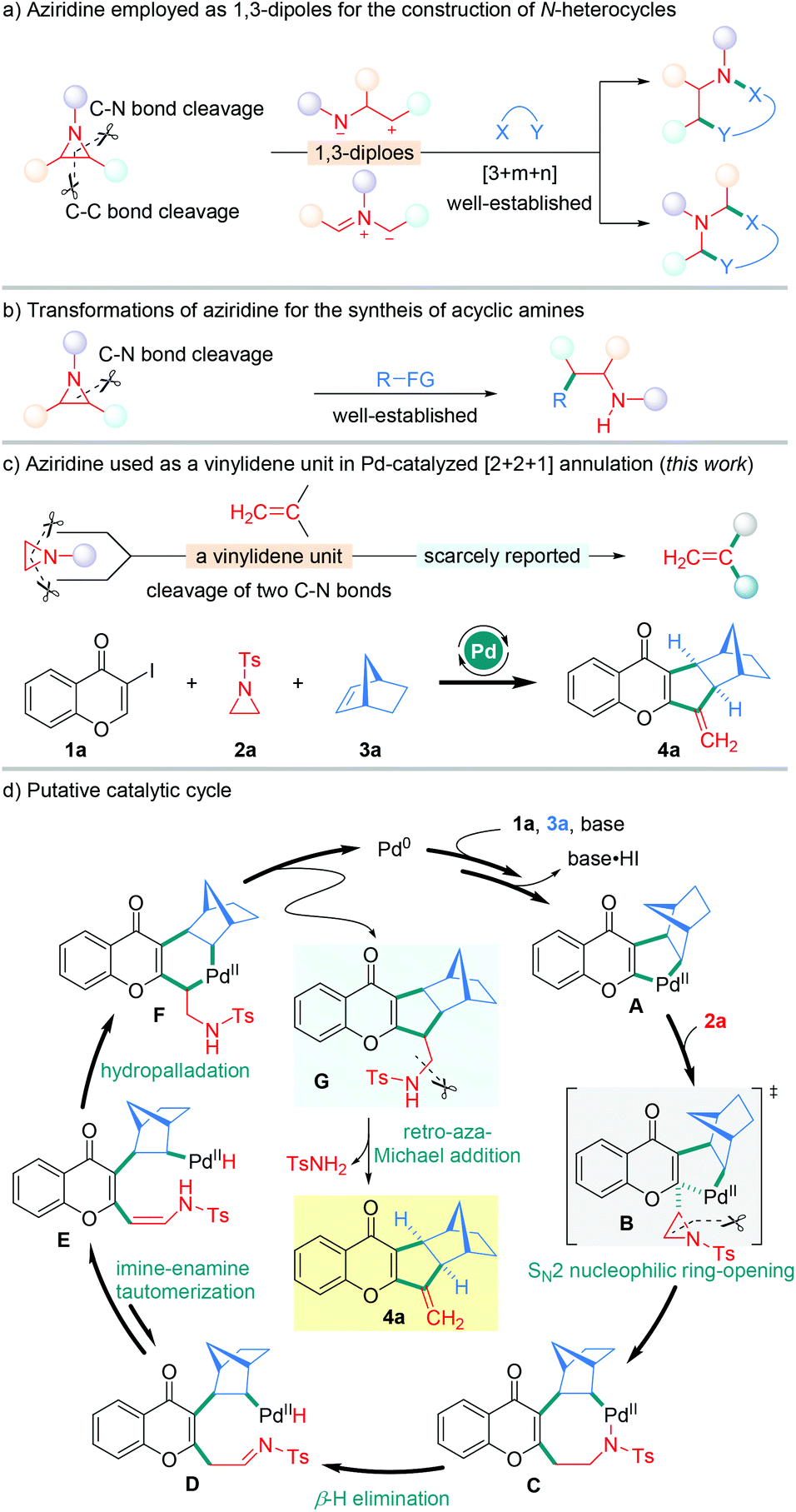 Aziridine used as a vinylidene unit in palladium-catalyzed [2 + 2 + 1]  domino annulation - Organic Chemistry Frontiers (RSC Publishing)  DOI:10.1039/D1QO00458A