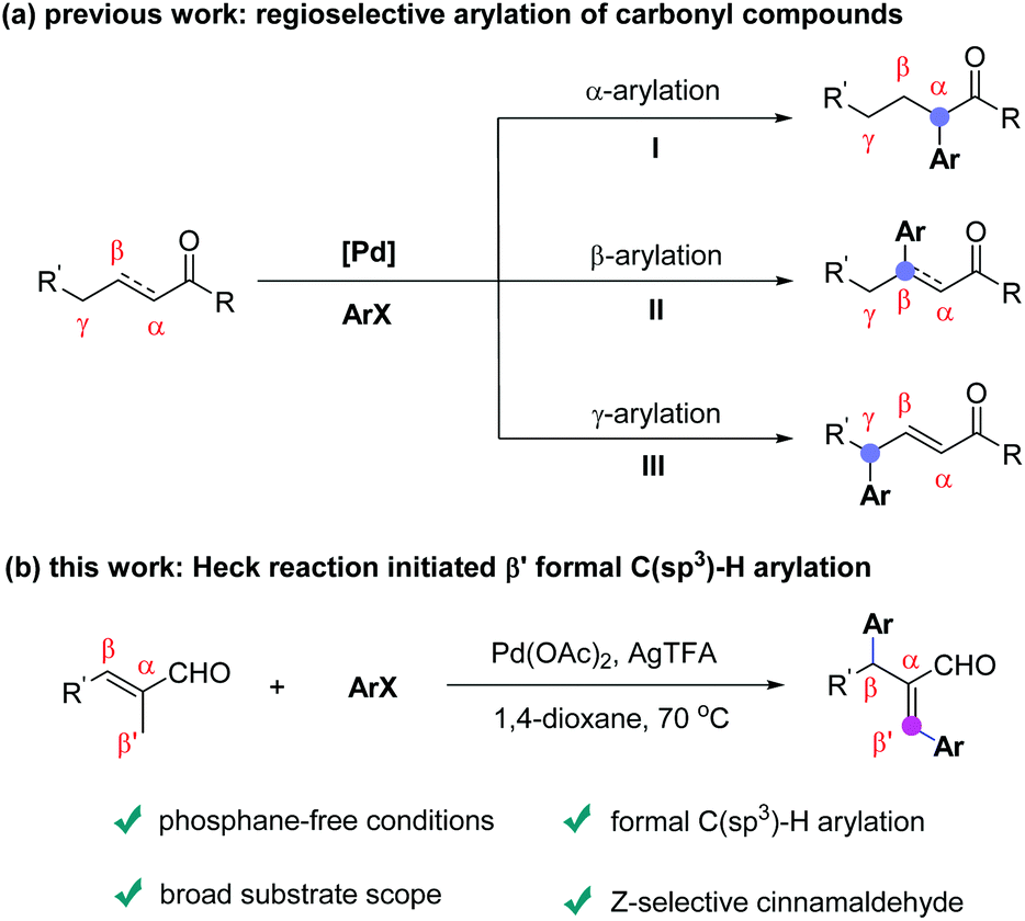 α-C (sp 3)-H Arylation of Cyclic Carbonyl Compounds